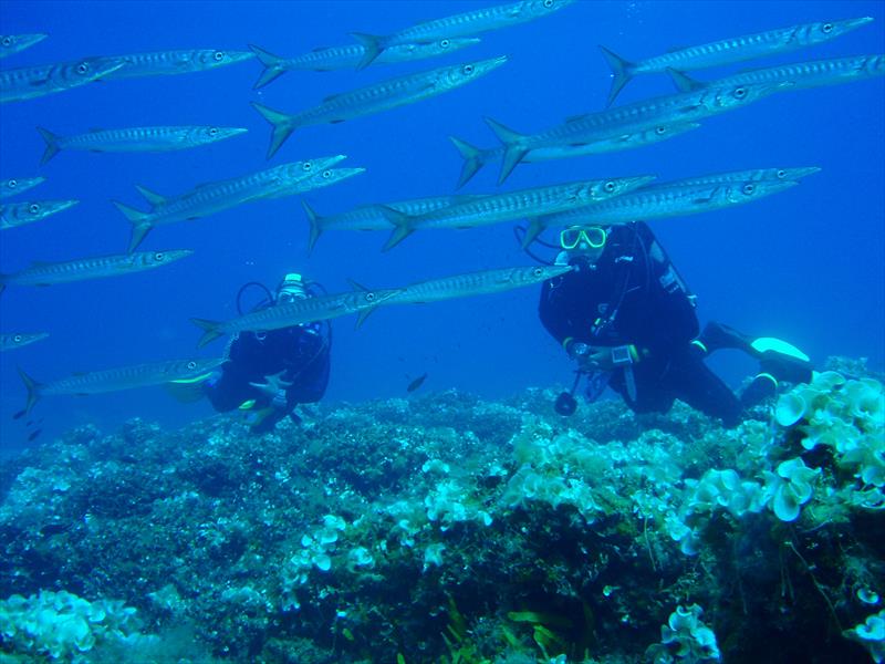 Foto Talas Diving Center - immagine 11