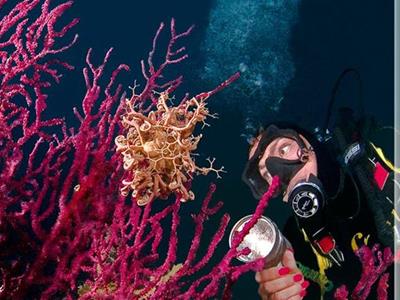 Antignano Diving Center 