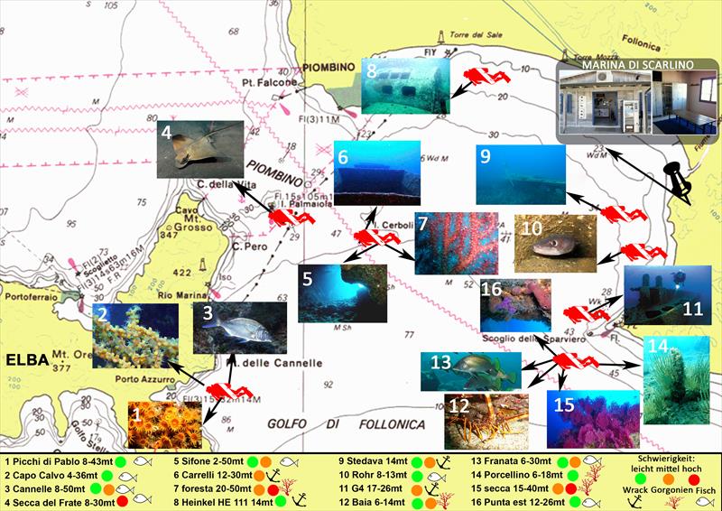 Scarlino Diving Center - Immagine principale