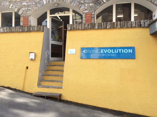 Diving Evolution - Immagine principale