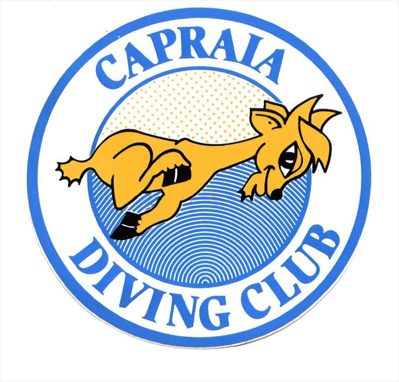 Capraia Diving Service - Immagine principale