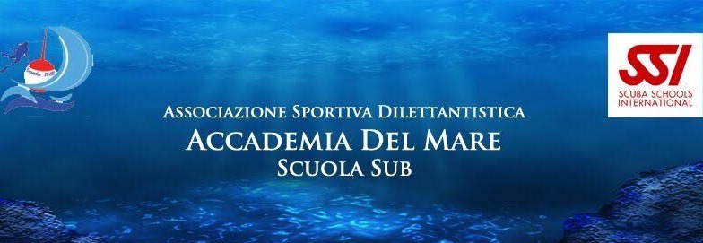 Accademia del Mare - Immagine principale