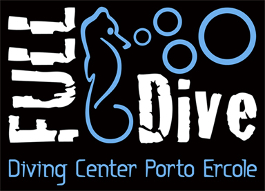 Full Dive - Immagine principale