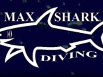 Max Shark Diving