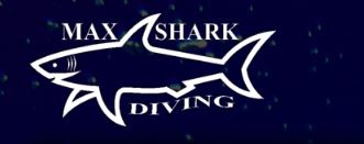 Max Shark Diving - Immagine principale