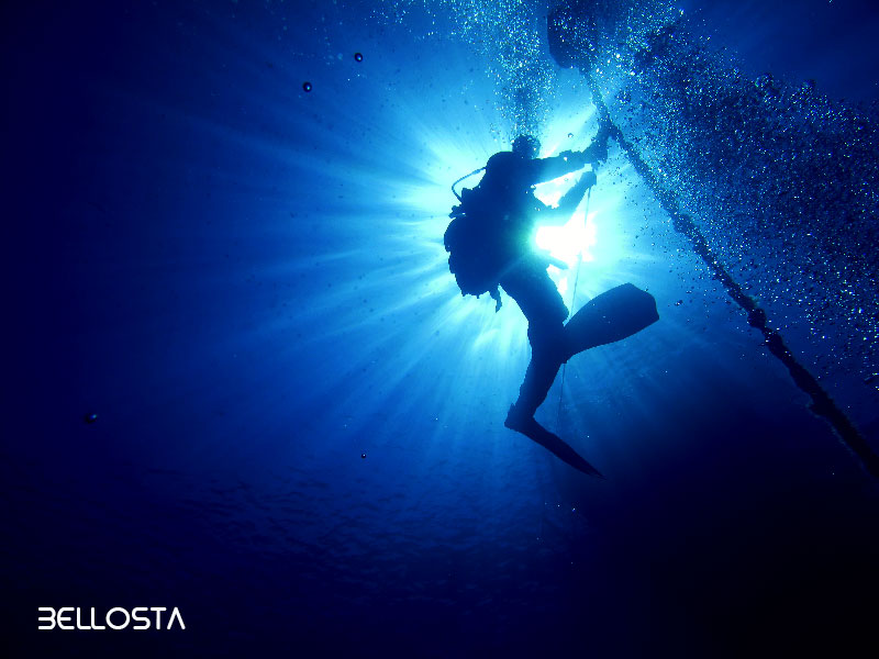 Blu Dive Center - Immagine principale