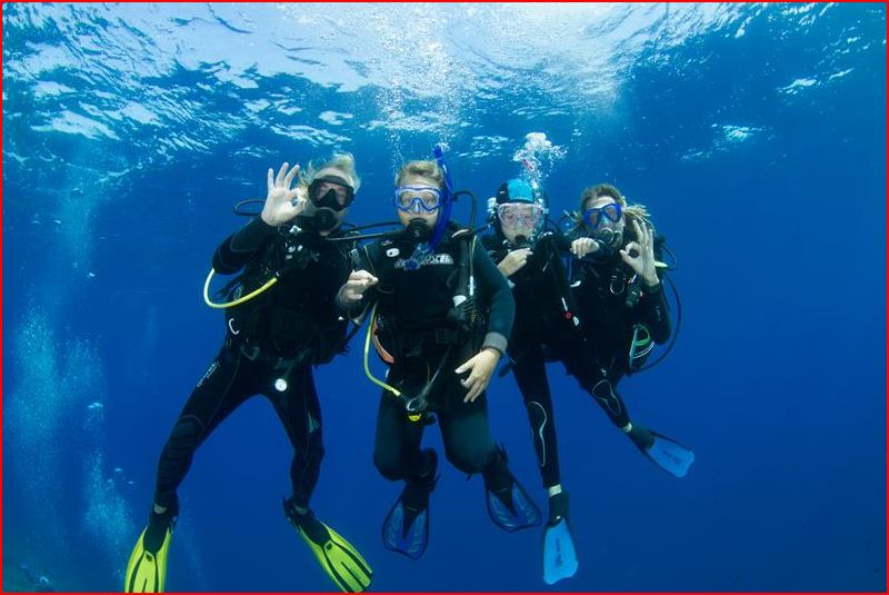 Bluelba Diving - Immagine principale
