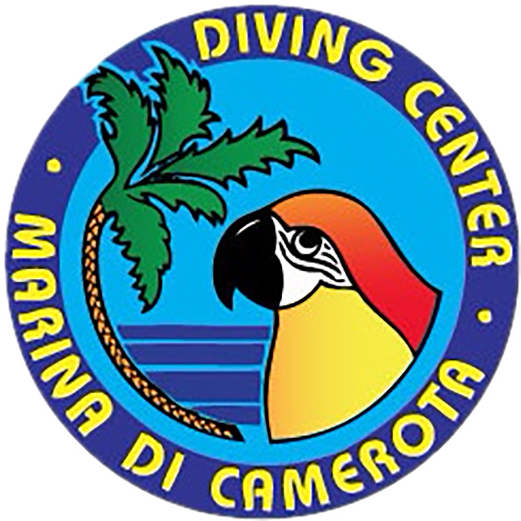 A.S.D.Diving Center Marina di Camerota - Immagine principale