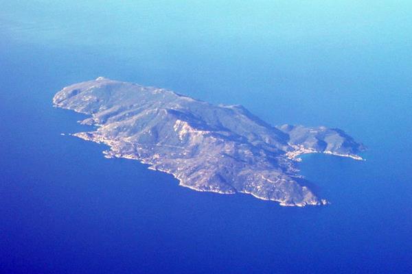 Le pi belle immersioni allIsola del Giglio