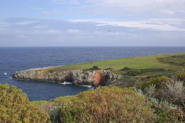 Le pi belle immersioni nel parco marino dellIsola di Giannutri