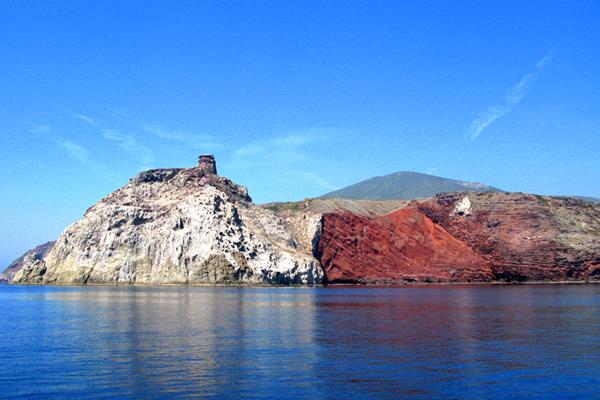 Le pi belle immersioni allIsola di Capraia