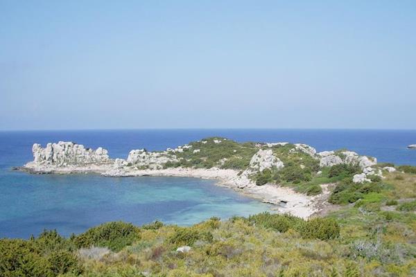 Le pi belle immersioni a Pianosa