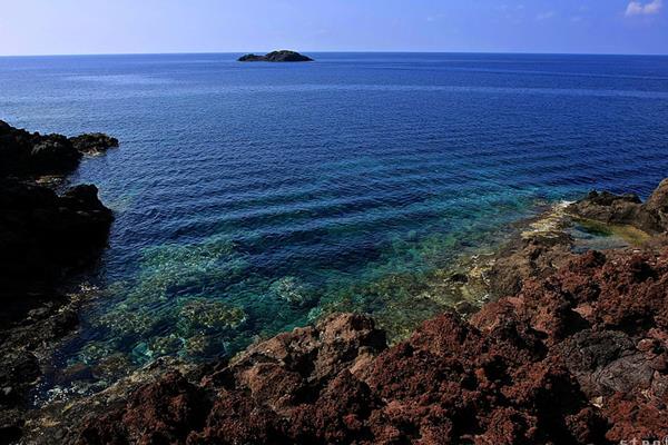 Le pi belle immersioni a Ustica